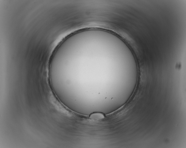 X0000111431280200907271057