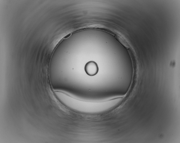 X0000111431281200907271057