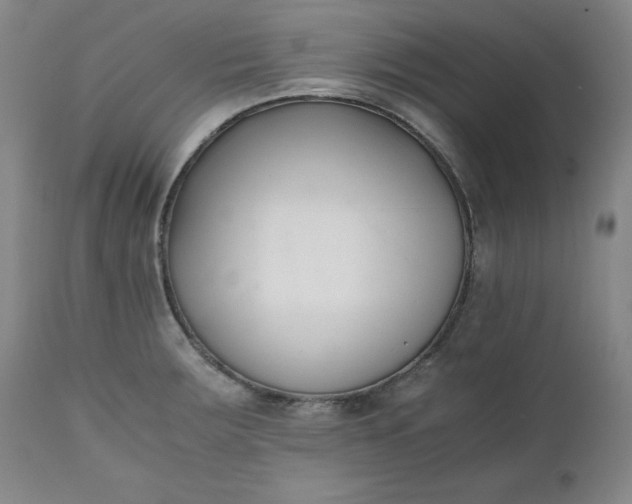 X0000111431283200907271057