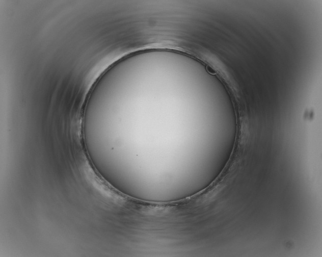 X0000111431284200907271057