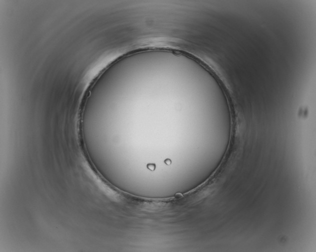 X0000111431285200907271057