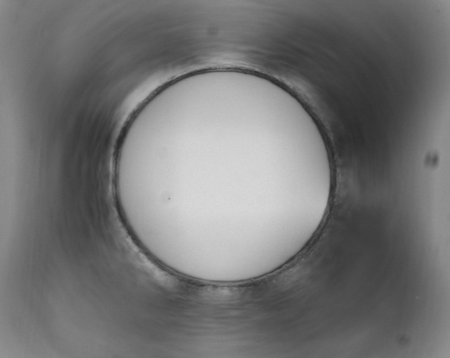 X0000111431286200907271057