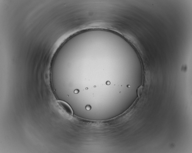 X0000111431288200907271057