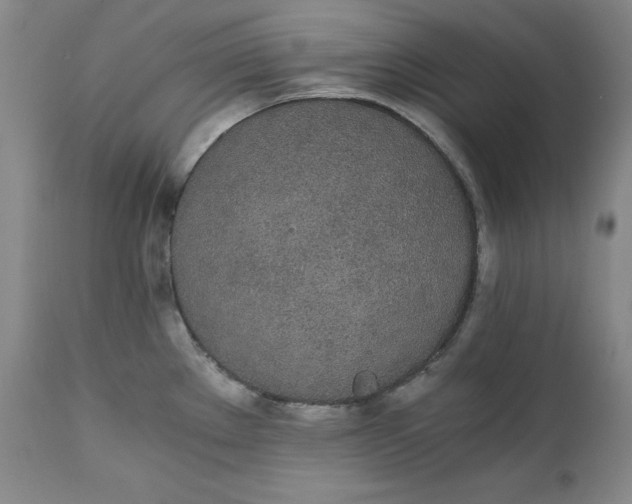 X0000111431289200907271057