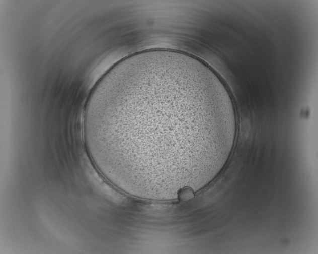 X0000111431290200907271056