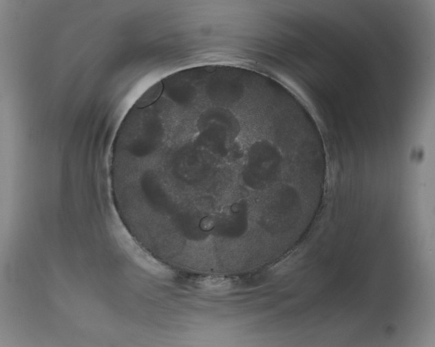 X0000111431291200907271056