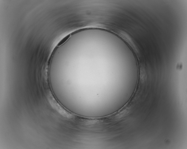 X0000111431292200907271056