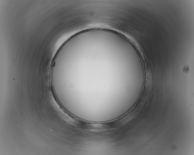 X0000111431295200907271056