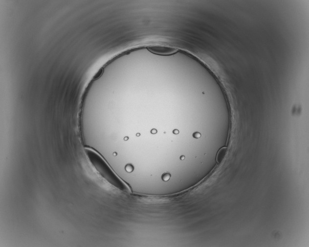 X0000111431296200907271056