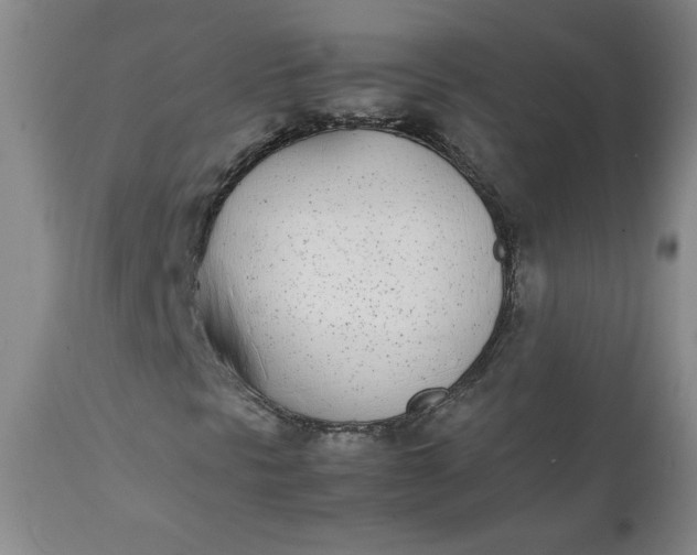 X0000111431297200907271056