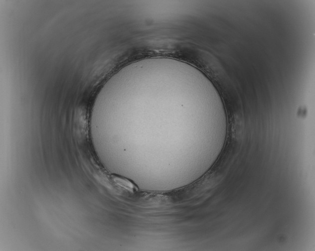 X0000111431298200907271056