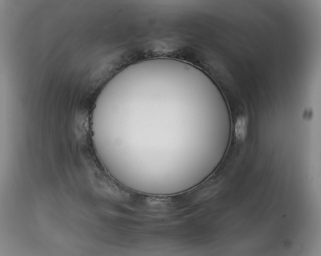 X0000111431299200907271056