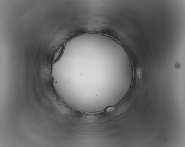 X0000111431300200907271056