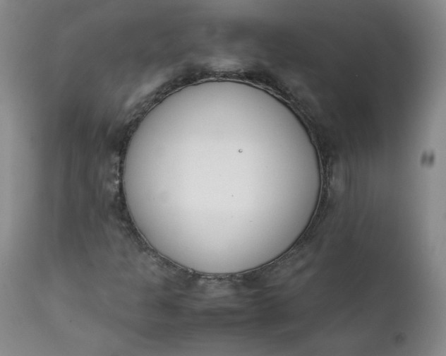 X0000111431301200907271056