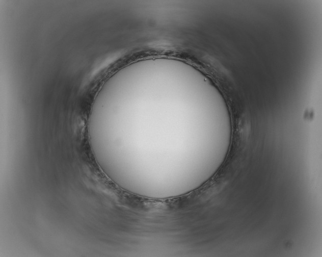 X0000111431302200907271056