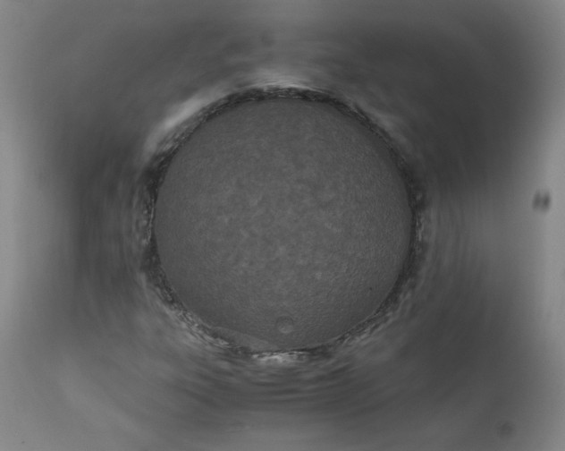 X0000111431303200907271056