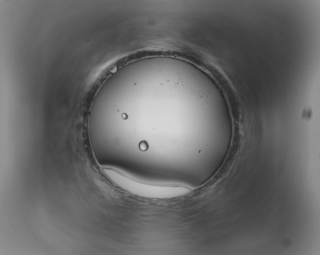 X0000111431304200907271056