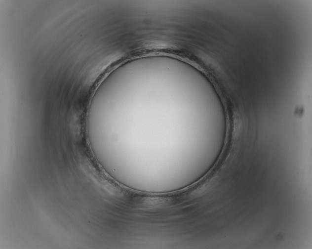 X0000111431305200907271056