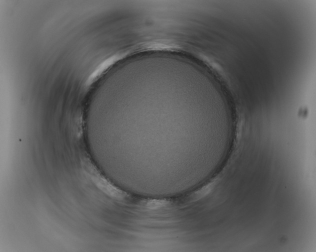 X0000111431306200907271056