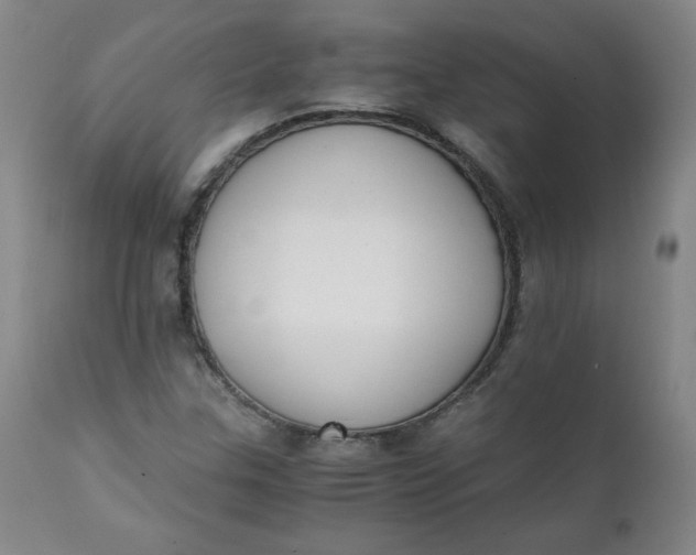 X0000111431307200907271056