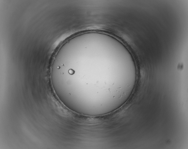 X0000111431308200907271056