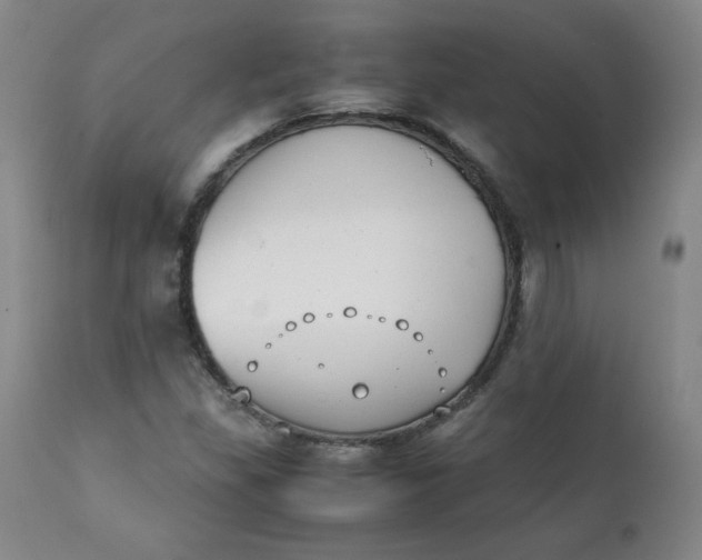 X0000111431309200907271056