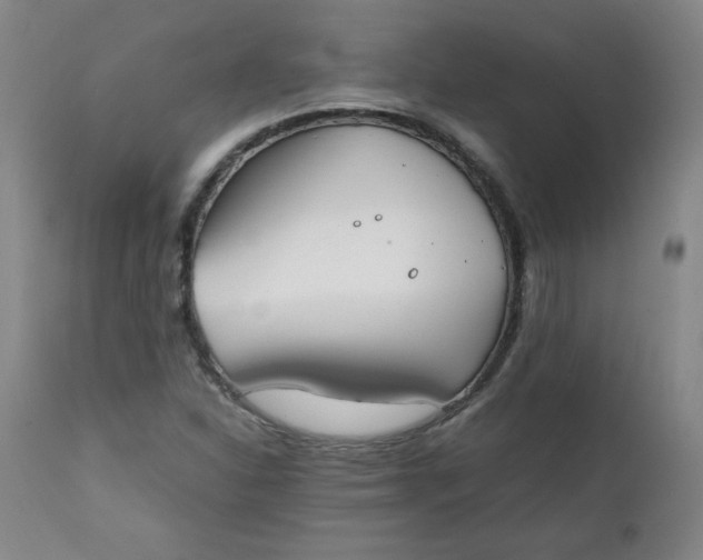 X0000111431310200907271056