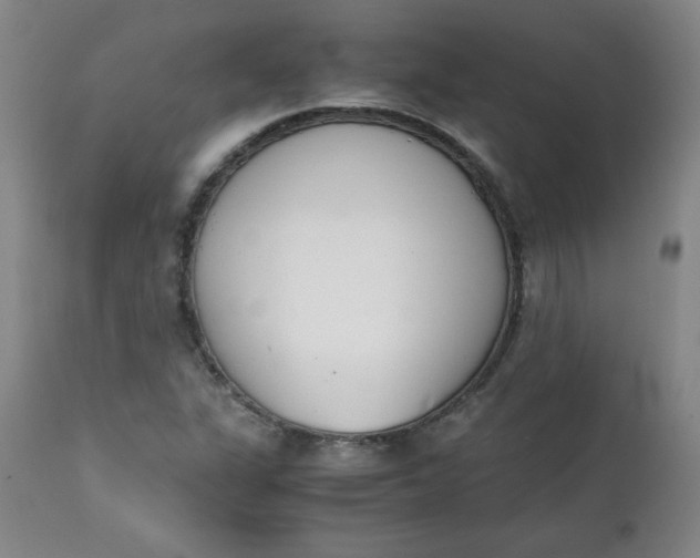 X0000111431311200907271056