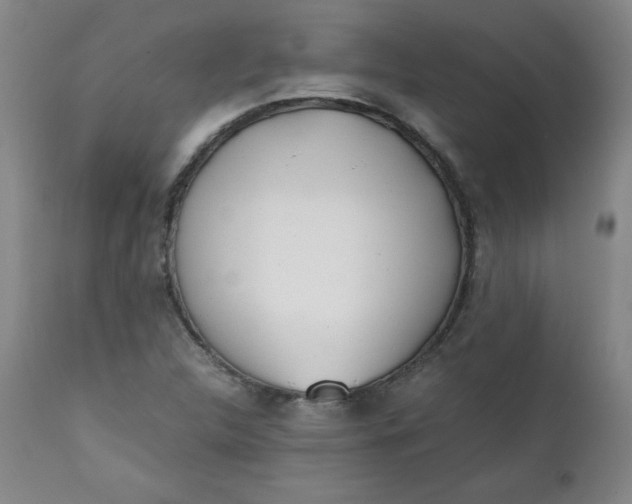 X0000111431312200907271056