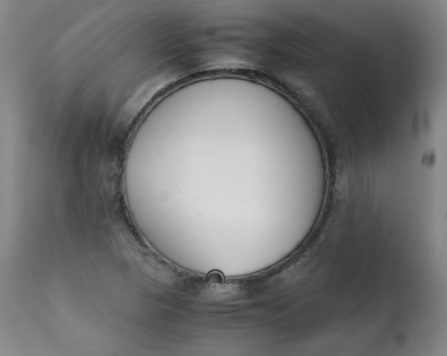 X0000111431313200907271056