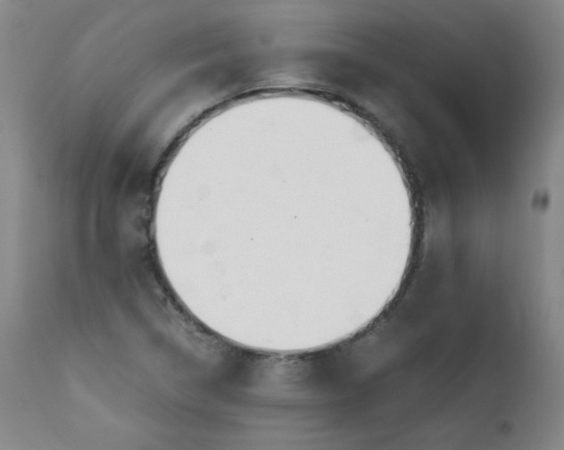 X0000111431314200907271056