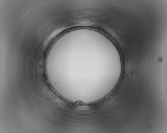 X0000111431315200907271056