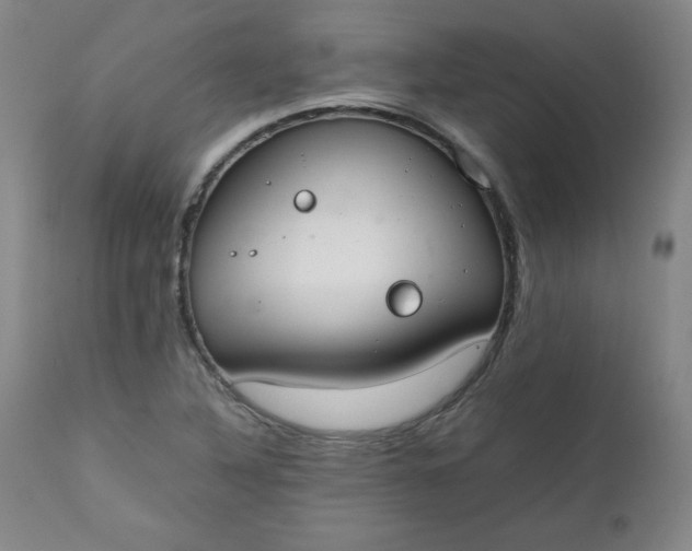 X0000111431316200907271056