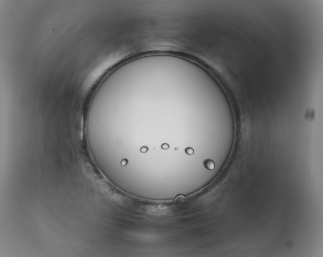 X0000111431317200907271056