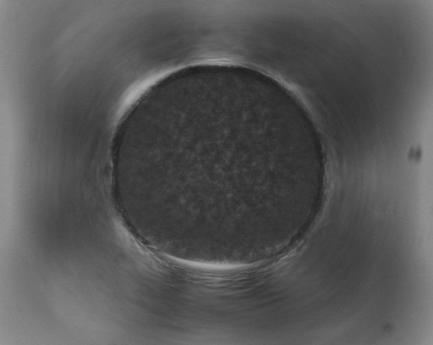 X0000111431319200907271056