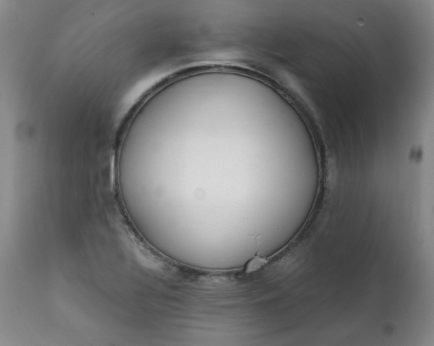 X0000111431320200907271056