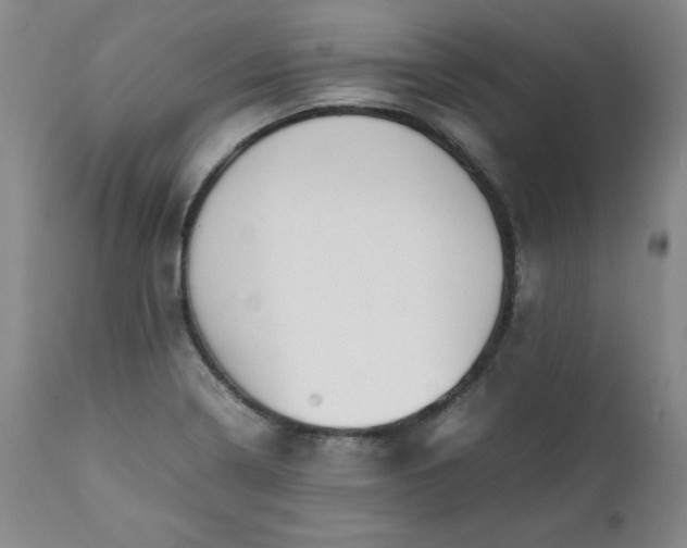 X0000111431322200907271056