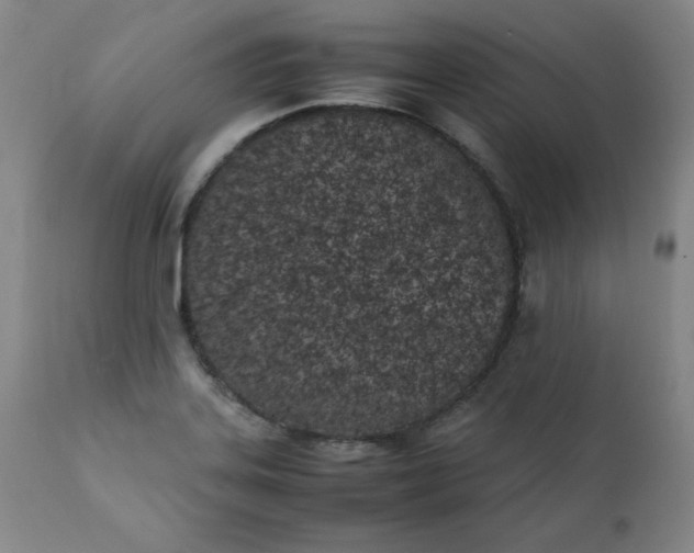 X0000111431323200907271056