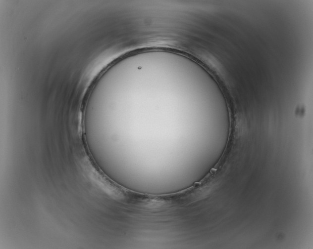 X0000111431324200907271056