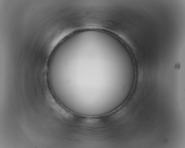 X0000111431325200907271056