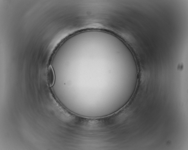 X0000111431326200907271056