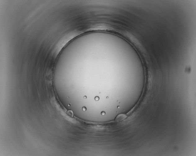 X0000111431329200907271056