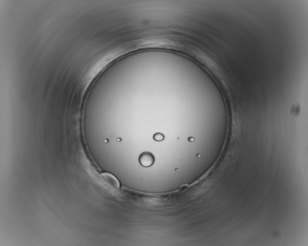 X0000111431330200907271056