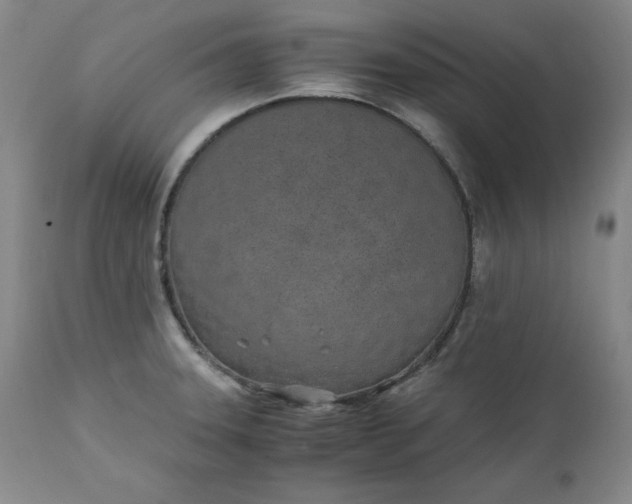 X0000111431331200907271056