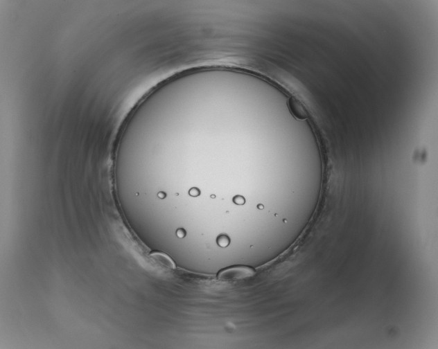 X0000111431332200907271056