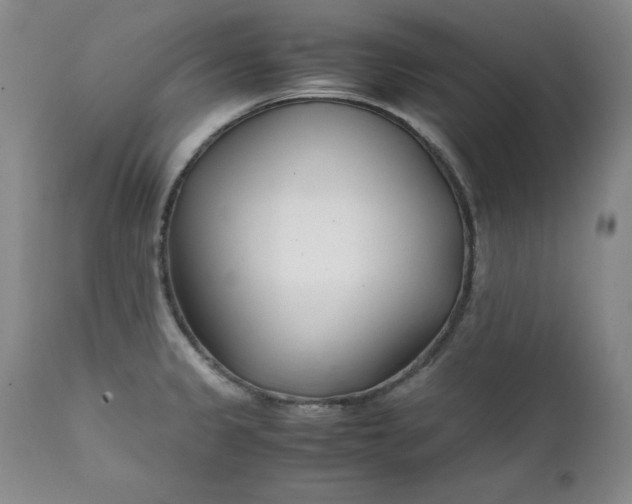 X0000111431333200907271056