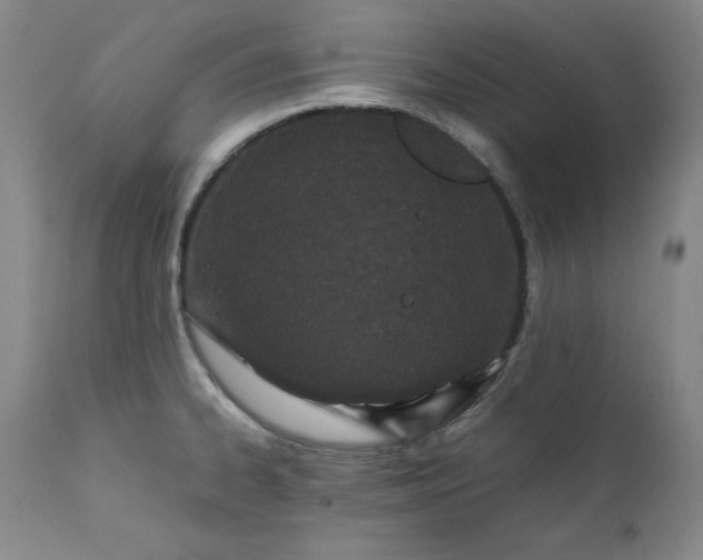 X0000111431334200907271056