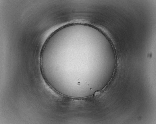 X0000111431335200907271056