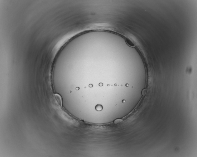 X0000111431336200907271056