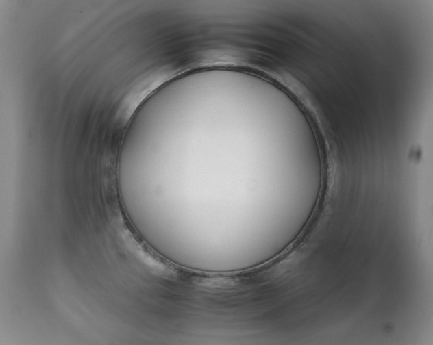 X0000111431337200907271056